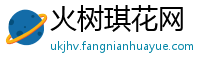 火树琪花网